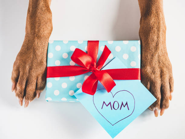 istock Lovable, adorable brown puppy and gift box 1389480891