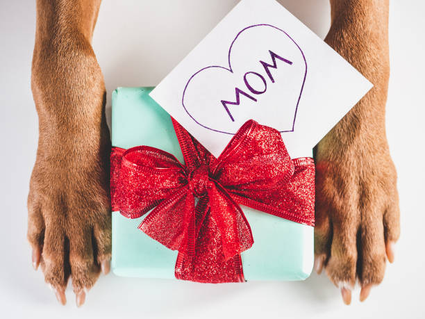 istock Lovable, adorable brown puppy and gift box 1389480940