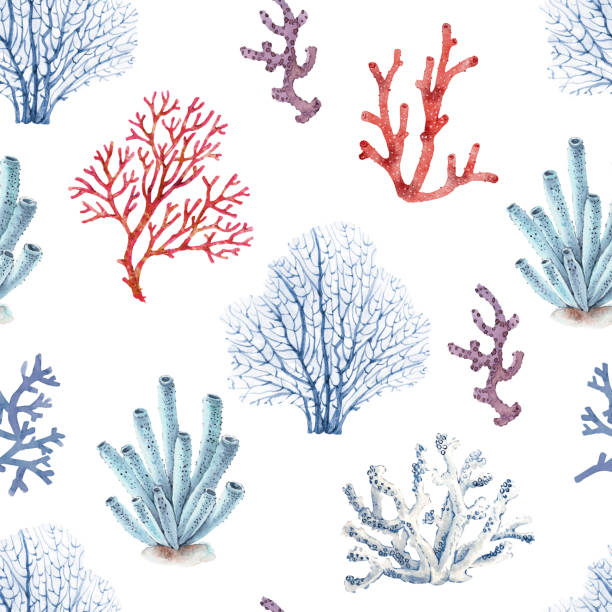 stockillustraties, clipart, cartoons en iconen met pattern with sea blue and pink corals on white background, watercolor illustration, hand painted in nautical style - koraal