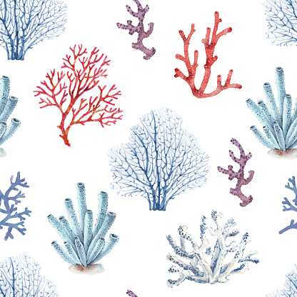 pattern with sea blue and pink corals on white background, watercolor illustration, hand painted in nautical style