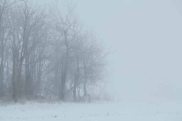 istock Landscape with trees in fog and snow. 1389493998