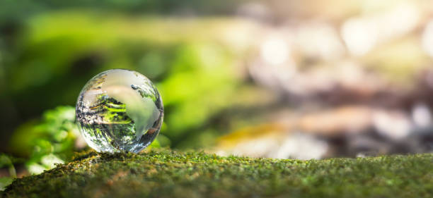 istock globe glass on grass with sunshine. environment concept 1389494096