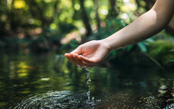 istock hand touches water in the pond 1389494099
