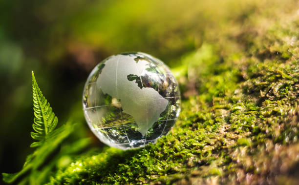 istock globe glass on grass with sunshine. environment concept 1389494102