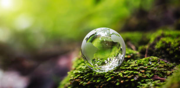 istock globe glass on grass with sunshine. environment concept 1389494104