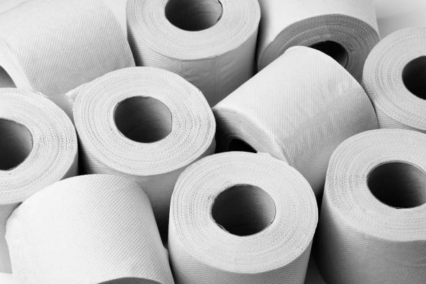 istock Toilet paper roll on a white background 1389497668