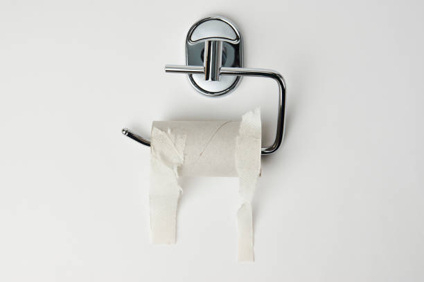 istock Empty toilet paper roll holder, close-up 1389497676