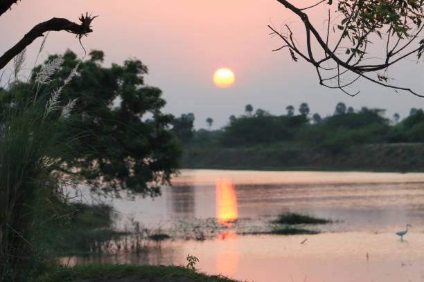 istock Sunset at Tamil Nadu in India 1389498770