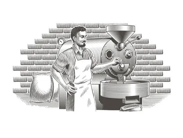 Vector illustration of Professional coffee roaster and vintage roasting machine, roasted coffee beans and bags. Engraving or etching vintage style black and white vector illustration.