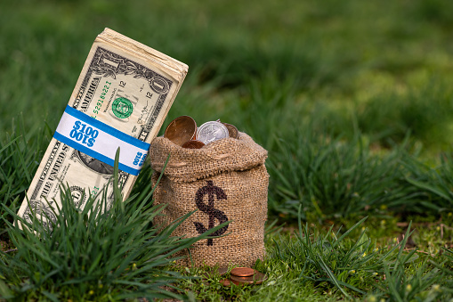 Miniature bag with US dollar symbol on green grass and american money