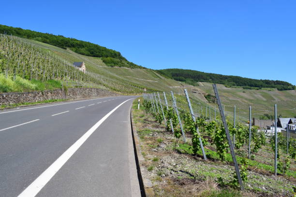 istock road through Mosel valley vineyards in spring 1389503895