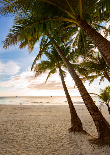 istock Tropical beach and bay 1389504074