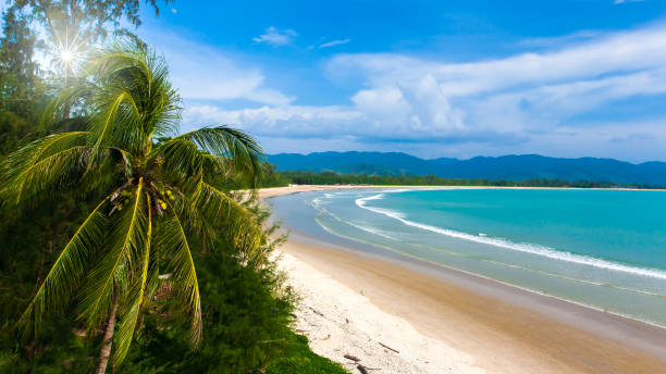 high angle view of a tropical beach in summer. - khao lak stockfoto's en -beelden