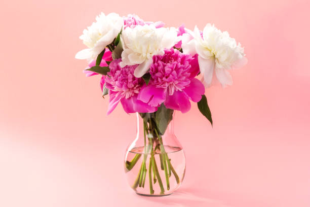 istock Bouquet of pink and white peonies 1389506421