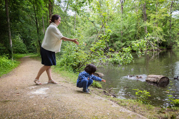 Mother and her cute little child feeding ducks in the pond in a park Mother and her cute little child feeding ducks in the pond in a park. Family leisure duck family stock pictures, royalty-free photos & images