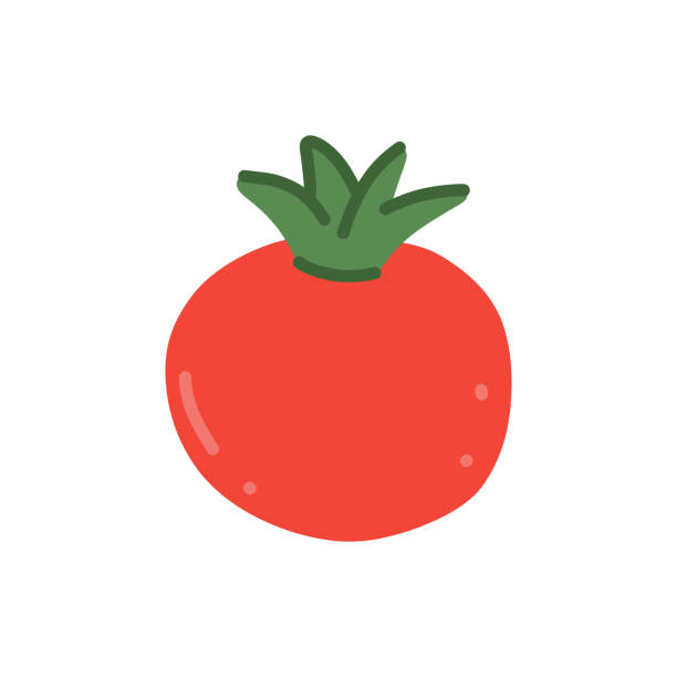illustrazioni stock, clip art, cartoni animati e icone di tendenza di design del doodle disegnato a mano dal pomodoro - campo di pomodori