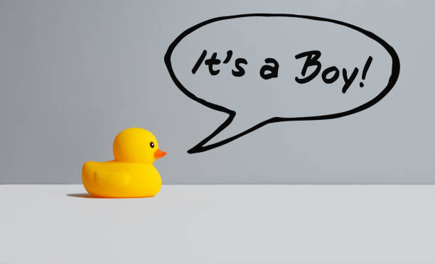 黄色いおもちゃのゴム製のアヒルは、それが男の子だと発表します。挨拶メッセージのための赤ちゃんの発表やベビーシャワーのコンセプト - its a boy ストックフォトと画像