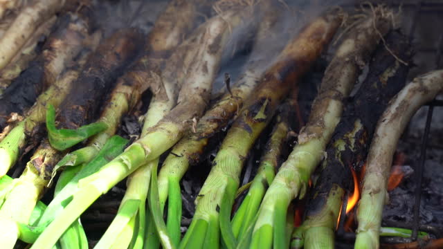 Closeup of a pile of calcots or sweet onions being cooked in the barbecue. Typical of Catalonia, Spain