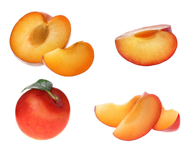 istock Set of fresh ripe plums on white background 1389514761