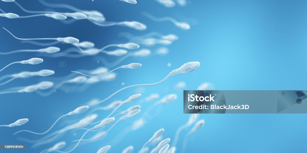 Human Fertility. The Chosen. Concept Fertilization process. Gynecology 3D Render Sperm Stock Photo