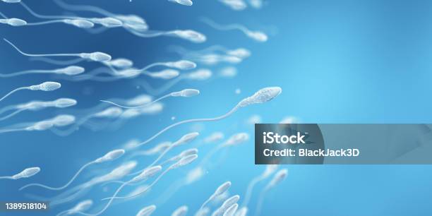 Human Fertility The Chosen Concept Stock Photo - Download Image Now - Sperm, Illustration, Three Dimensional