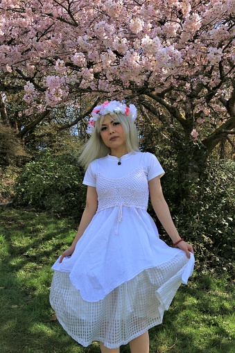 A Vietnamese woman dancing in a public park under Cherry blossoms in spring. She is wearing a blue headdress and layered dress.