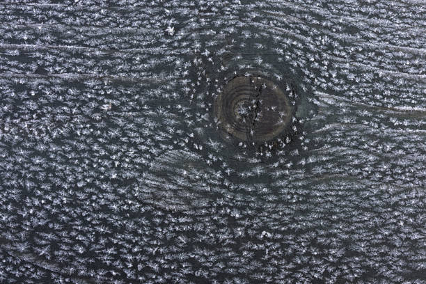 Frozen pattern and snowflakes on wooden planks knot pattern. Color photo for background.