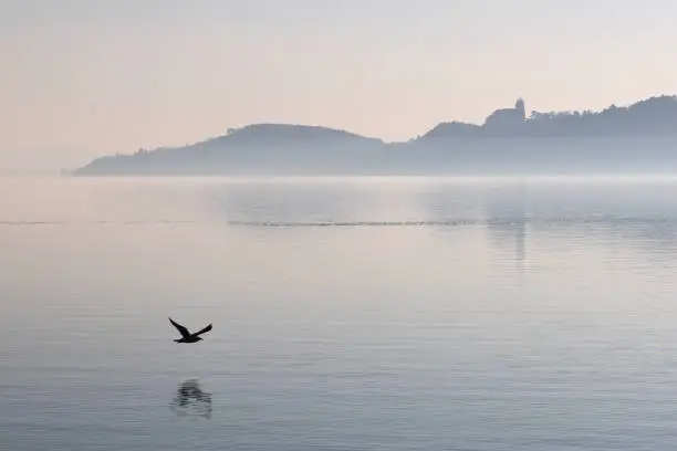 Tranquil landscape of Lake Balaton, with the foggy Tihany in the background and 
the Benedictine Abbey of Tihany with a flying bird in the out of focus. Colour photo for hungarian tourism.