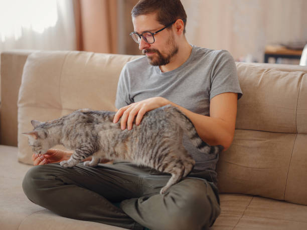 istock owner plays with cat while relaxing on sofa in living room. 1389525797