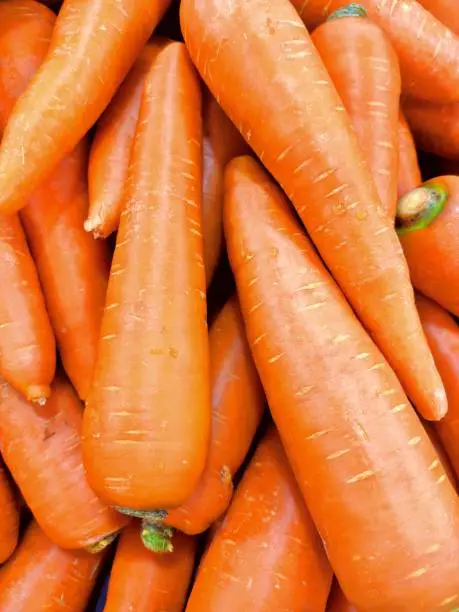 Photo of carrot from farming for your background