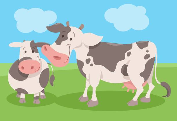 Vacas Graciosas Vectores Libres de Derechos - iStock Vacas Graciosas Vectores Libres de Derechos - iStock