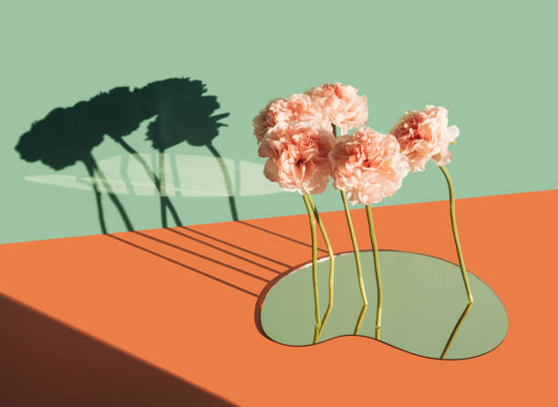 istock Surreal floating flowers over the mirror, casting shadow on a two tone background. 1389530818