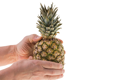 Close up view of hands holding pineapple fruit on white background.