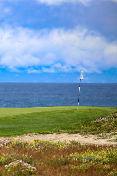 istock Golf course on the Monterey Peninsula, California 1389531662