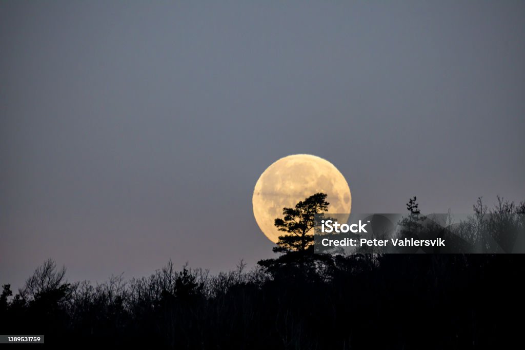 Full moon Full moon raising over treeline horizon Moon Stock Photo