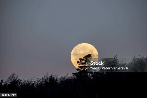 Full Moon Stock Photo - Download Image Now - Moon, Moon Surface, Planetary Moon