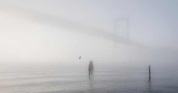 Bridge in fog