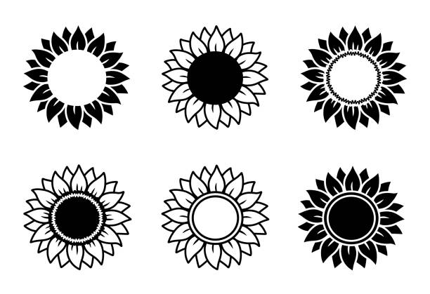 Hand drawn sunflower set of black simple icons of abstract flowers silhouettes