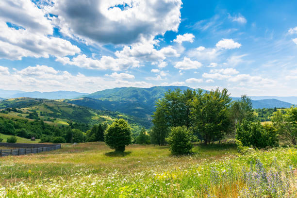 istock carpathian rural landscape at high noon in summer 1389538125