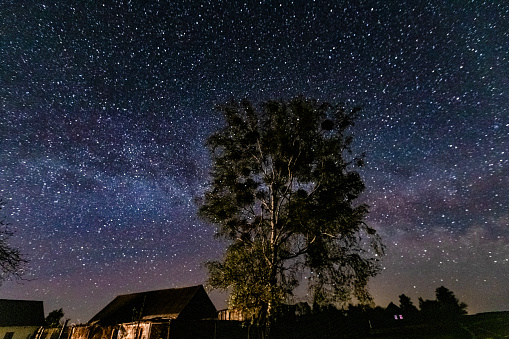 Landscape photography, night picture. Stars, Milky way in Galaxy. The picture on long exposure. Trees, field, and sky. Midnight in the village. Astronomy concept of space