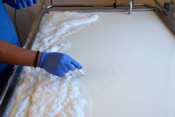 cheesemaker measuring the temperature of the milk. - control room stockfoto's en -beelden