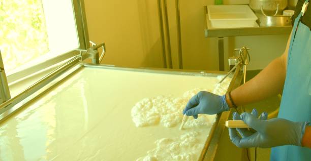istock Cheesemaker measuring the temperature of cow's and goat's milk during the heating process. 1389541190