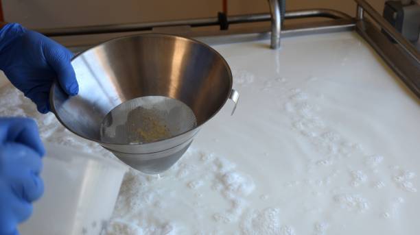 istock Natural rennet in a metal strainer. 1389541404