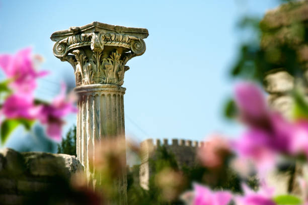 detalle arquitectónico de la columna antigua del sitio arqueológico en la turquía mediterránea - ancient greece mediterranean turkey izmir turkey fotografías e imágenes de stock