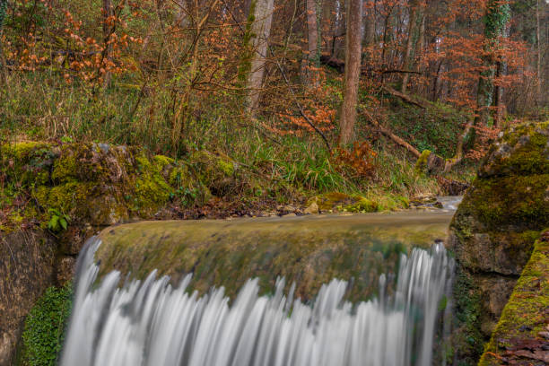 Sagentobelbach creek near Zurich Zoo garten with waterfall small cascade