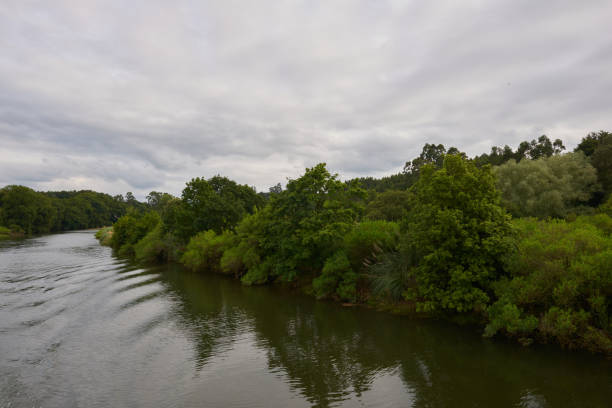 istock A river surrounded by low vegetation on a gray day 1389543300
