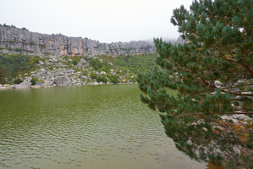 A nice view of a lake surrounded by a pine forest on a gray autumn day.