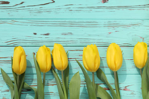 istock Pattern of yellow tulips 1389545225