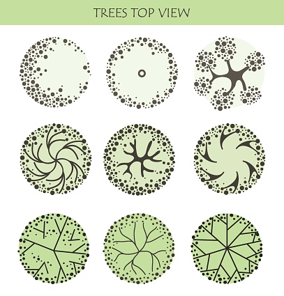 Trees For The Master Plan Tree For Architectural Floor Plans Entourage ...