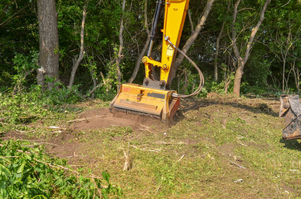 istock Roadside cleaning device. Mulcher. Processing of branches and vegetation. 1389549077